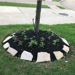 Carranza lawn service