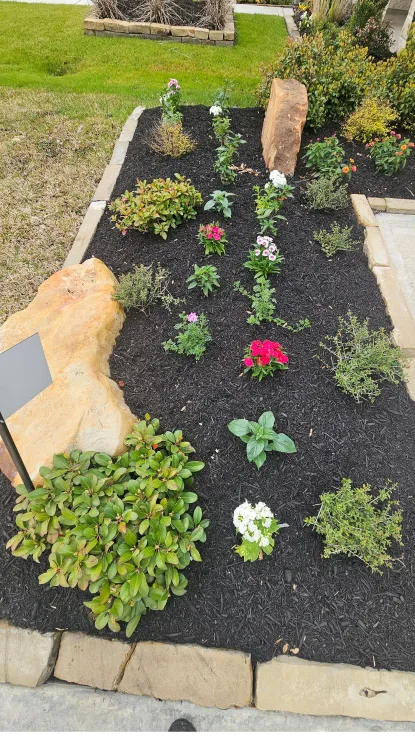 Carranza lawn service