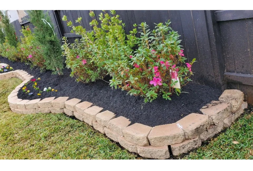 Carranza lawn service