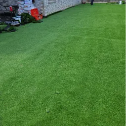 Carranza lawn service