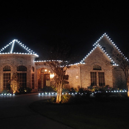 Carranza lawn service 