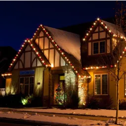 Carranza lawn service 