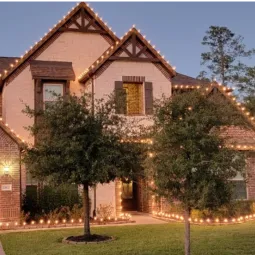 Carranza lawn service 